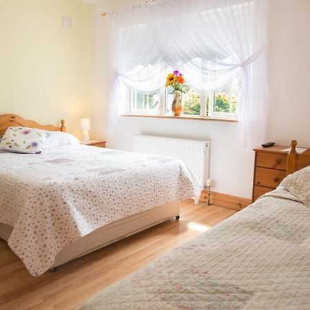 Shannon Breeze B&B Killaloe Buitenkant foto