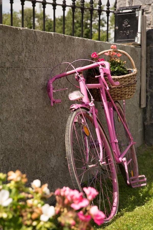 Shannon Breeze B&B Killaloe Buitenkant foto