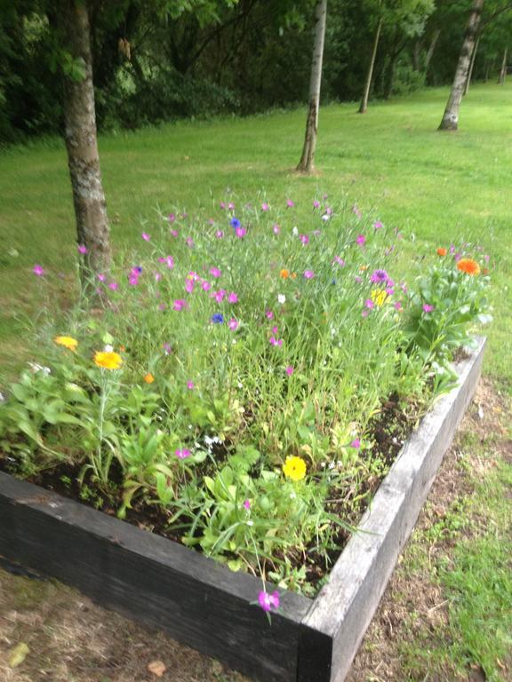 Shannon Breeze B&B Killaloe Buitenkant foto